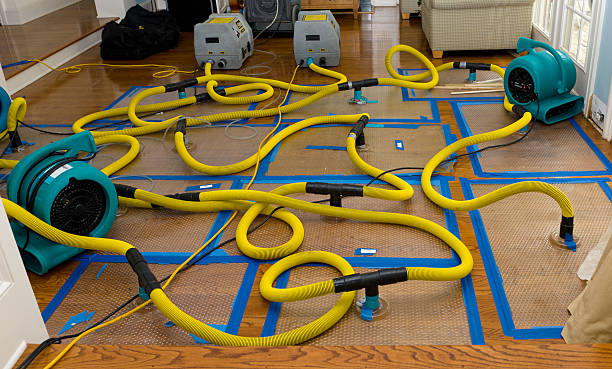 Professional Water Extraction technician working in Bridgeport, NE